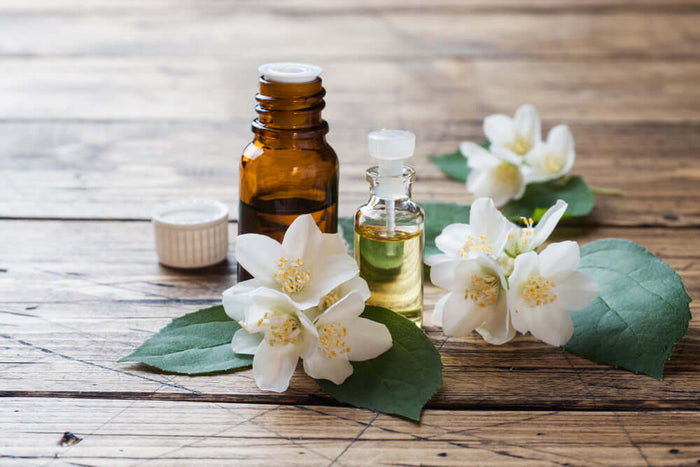 Jojoba oil and plant leaves