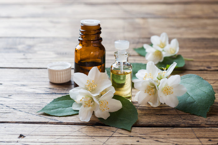 Jojoba oil and plant leaves